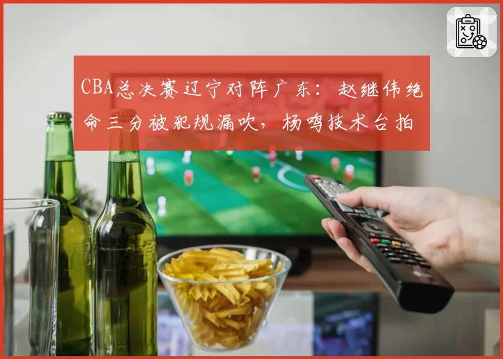 CBA总决赛辽宁对阵广东:赵继伟绝命三分被犯规漏吹,杨鸣技术台拍桌抗议